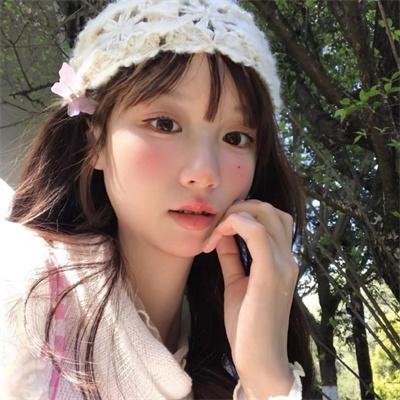 加菲猫家族